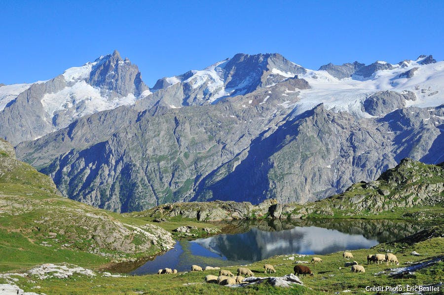 Alpages du plateau d'Emparis, dans les Alpes françaises 