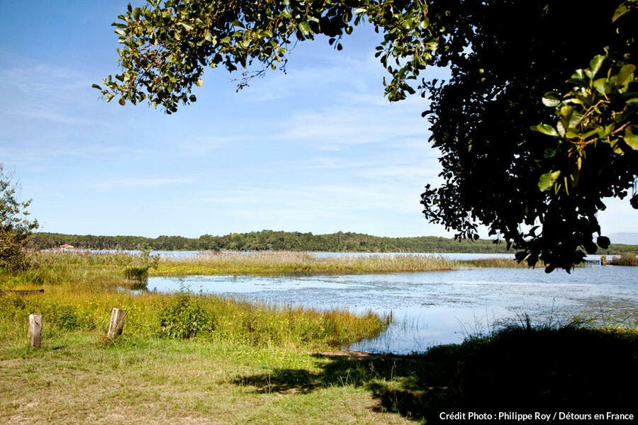 L'étang d'Aureilhan à Mimizan dans les Landes 
