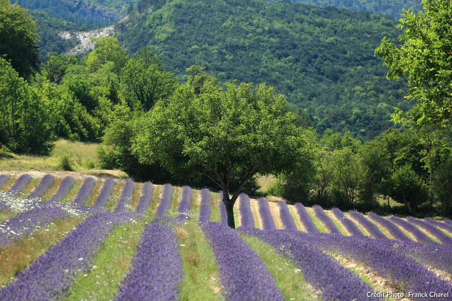 Les Plus Beaux Paysages De France Saison Par Saison Detours En France