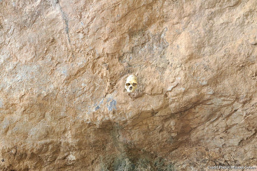 Crâne de l'Homme de Tautavel, dans le mur de la Caune de l'Arago ou de la Grotte de Tautavel 