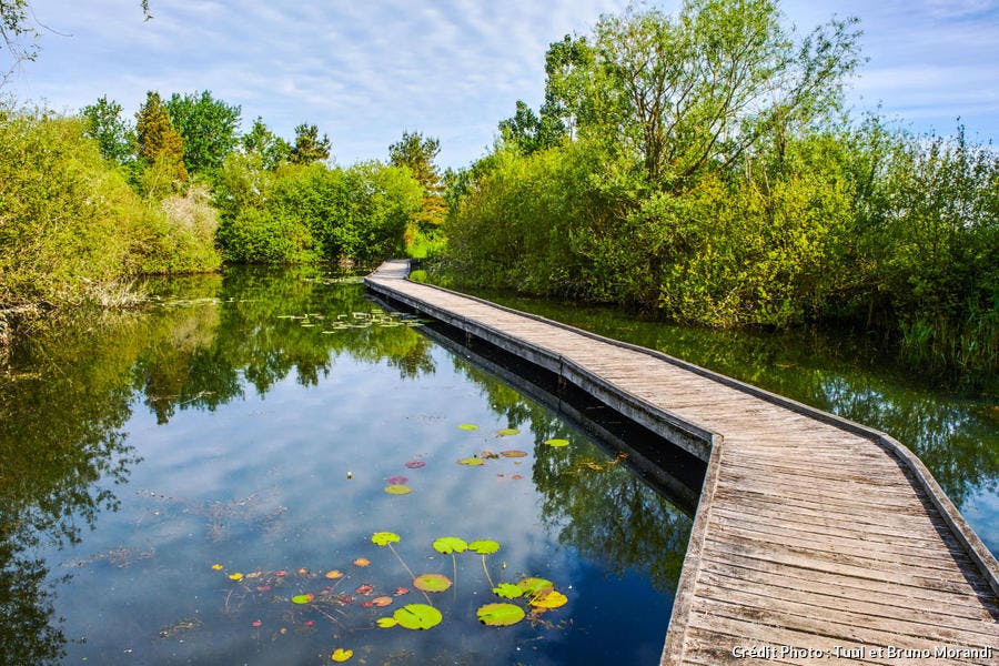 Les étangs de la Brenne l'invention d'un paysage Détours en France Les étangs de la Brenne l'invention d'un paysage Détours en France