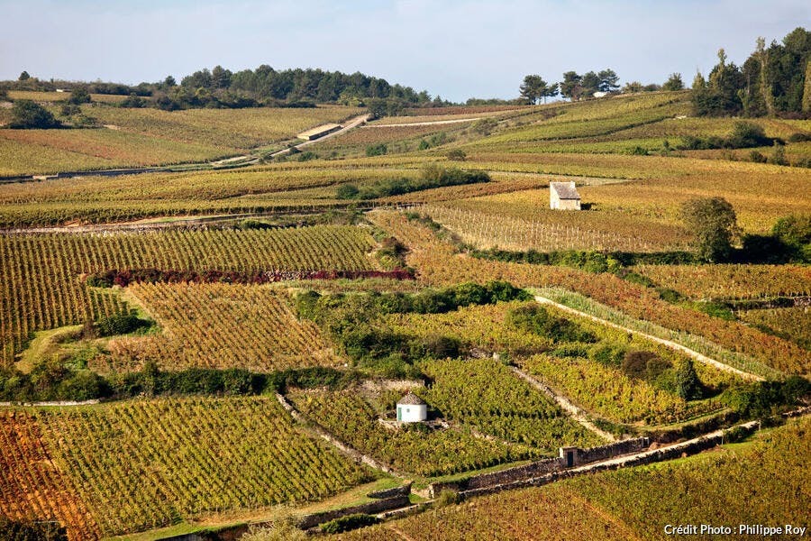 Photos Bourgogne Les Plus Belles Images De Paysage Detours En
