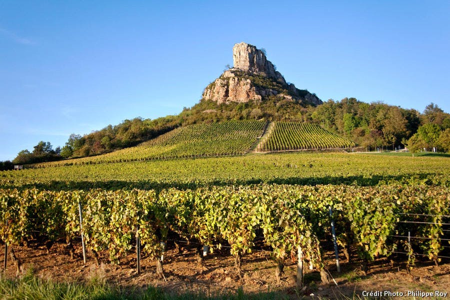 La roche de Solutré dominant le vignoble du Mâconnais, en Bourgogne 