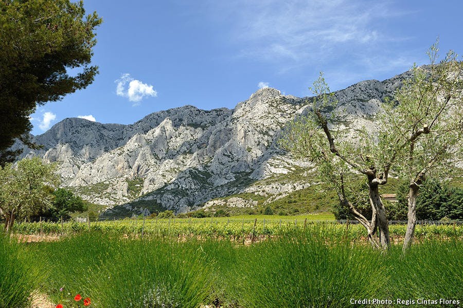 Que Faire A Aix En Provence 10 Choses A Visiter En 2020 Detours En France