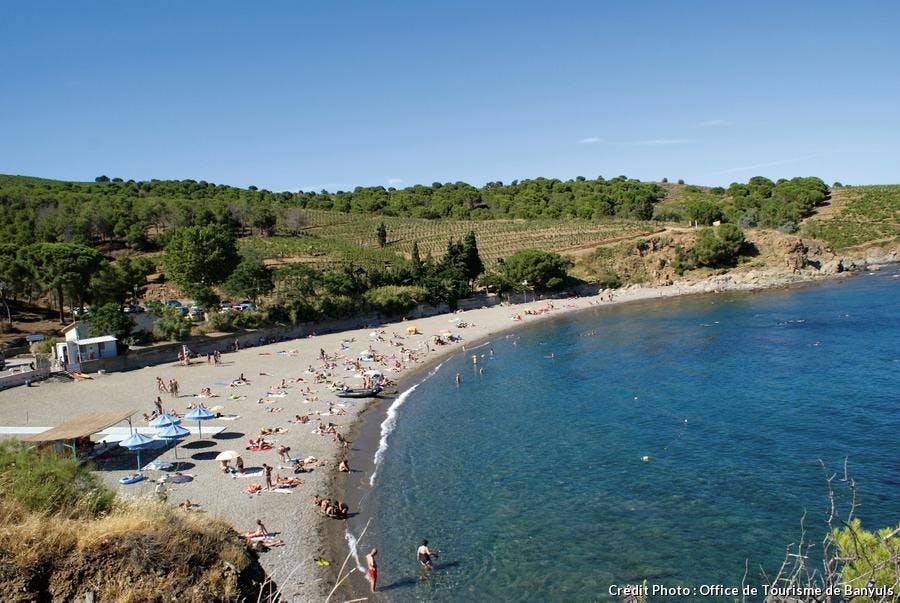 Les 10 Plus Belles Plages Des Pyrénées Orientales Détours