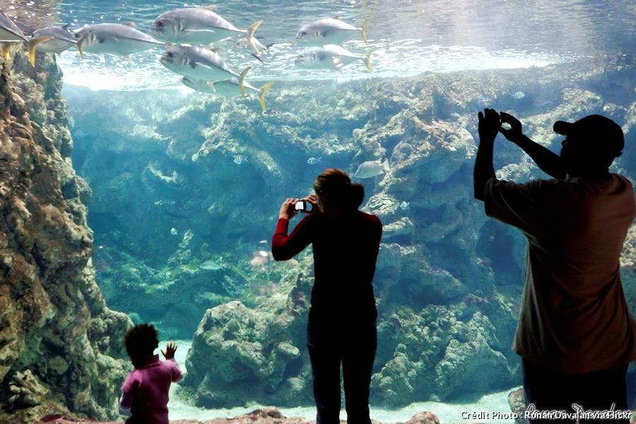 brest-oceanopolis.jpg 