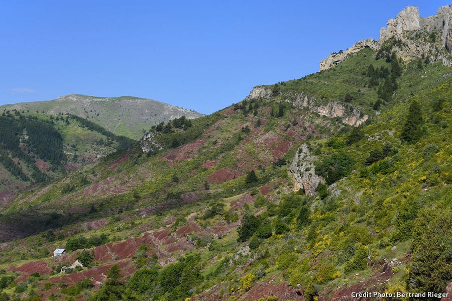 Les plus belles gorges à visiter en France Cians-gorges-brcni1609