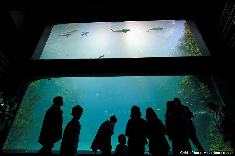 Aquarium de France le classement 2023 [TOP 15] Détours en France