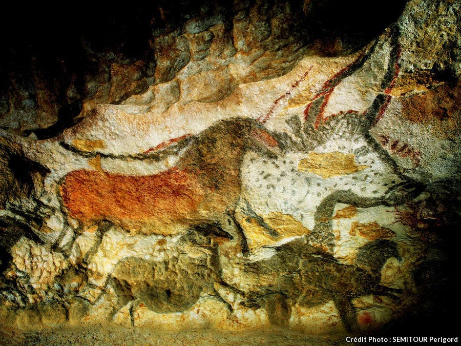 Peinture d'animaux sur les parois de la grotte de Lascaux 