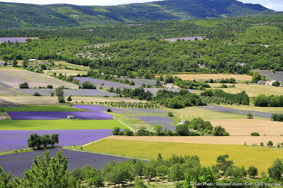 Que Faire En Provence 15 Lieux A Visiter En 2020 Detours En France