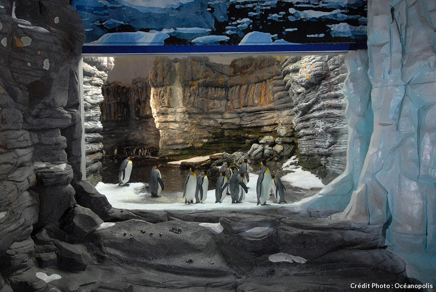 Aquarium De France Le Classement 2021 Top 15 Detours En France