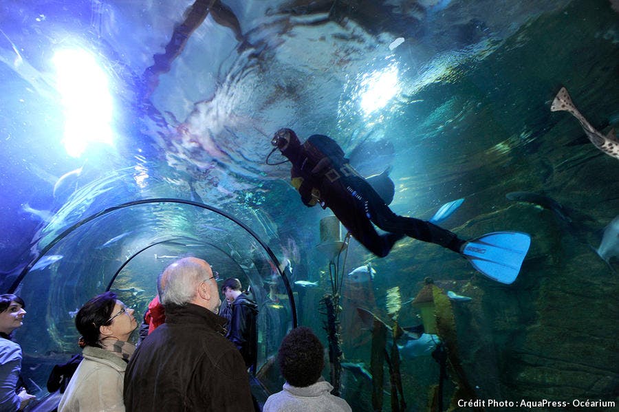 Aquarium De France Le Classement 2021 Top 15 Detours En France