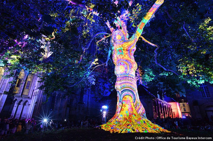 Les 15 plus beaux spectacles estivaux qui illuminent vos nuits ...