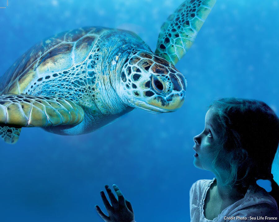 Aquarium de France le classement 2023 [TOP 15] Détours en France