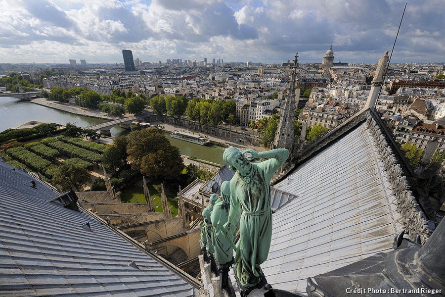 Vue de Paris depuis le sommet de Notre-Dame  