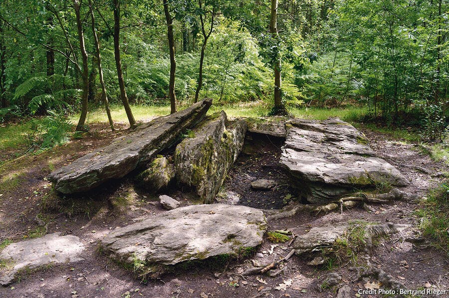 Forêt de Brocéliande - Le tombeau du géant 