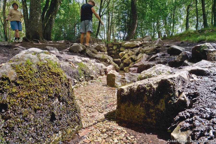 media-image media-element file-media-large lazy Forêt de Borcéliande - La fontaine de Barenton