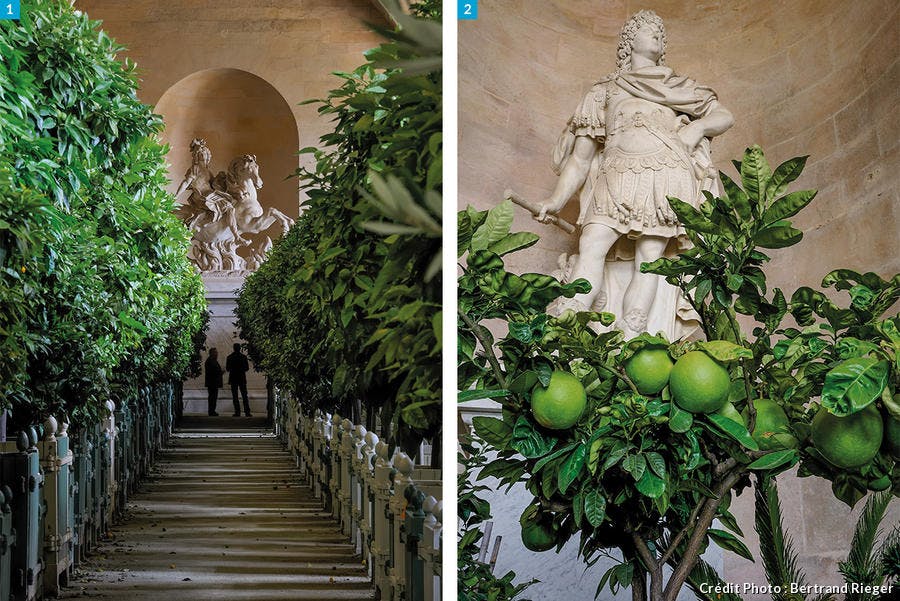L Orangerie De Versailles Le Temple Des Plantes Du Soleil Detours En France L Orangerie De Versailles Le Temple Des Plantes Du Soleil Detours En France