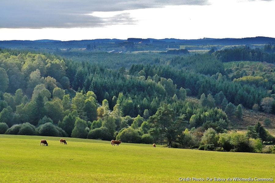 Plateau De Millevaches Le Toit Du Limousin Détours En France