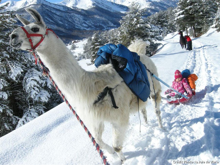 10 Activités Dhiver Incroyables à Faire à La Montagne En