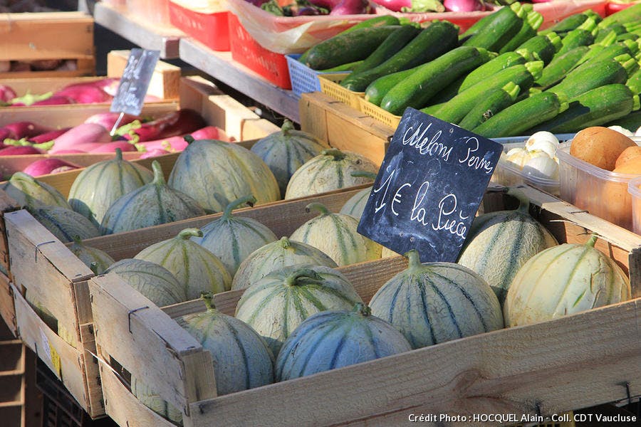 Escapade gourmande autour du melon de Cavaillon Détours en France
