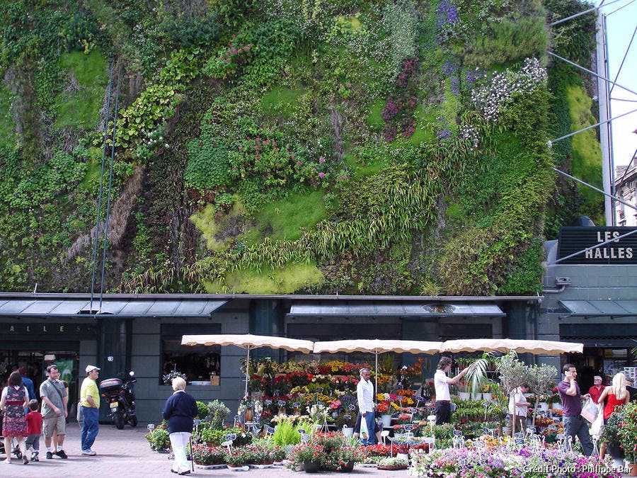 10 Choses A Faire Absolument A Avignon En 2020 Detours En France