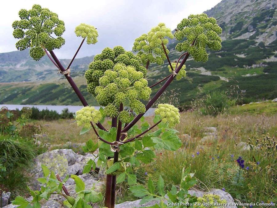 Deux Sevres 5 Activites A Faire Absolument Detours En France
