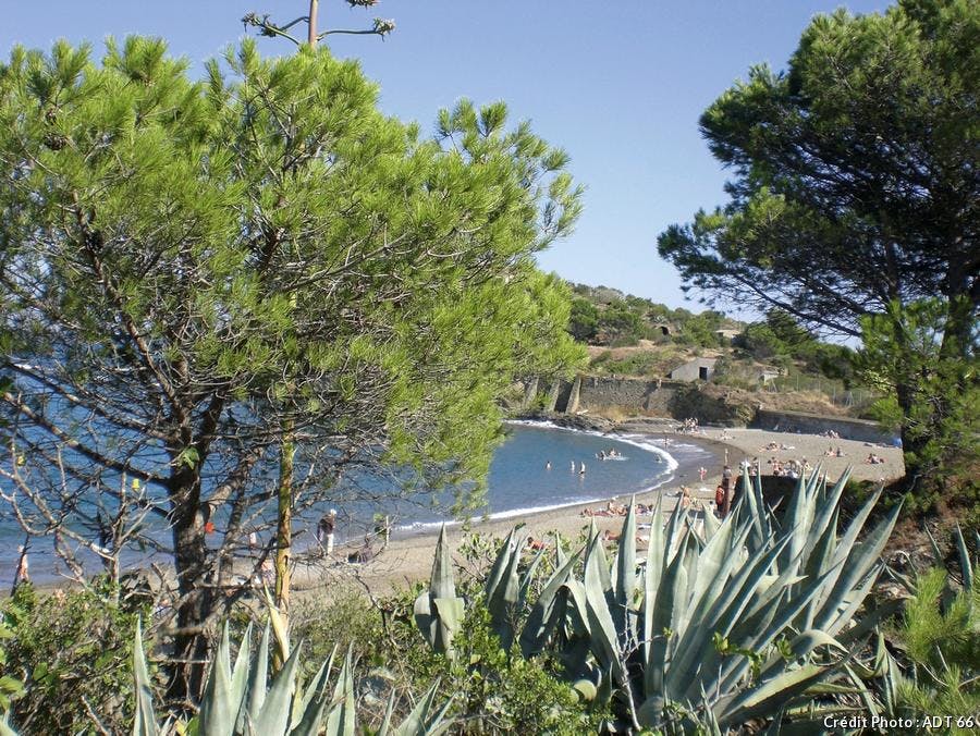 Les 10 Plus Belles Plages Des Pyrénées Orientales Détours