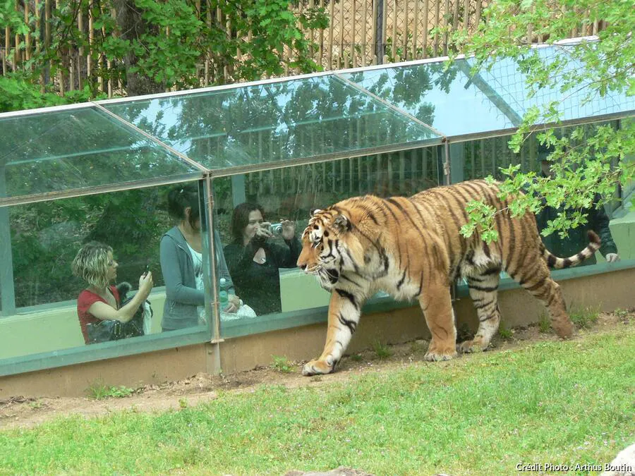 tatou animal france 5 animaliers France plus de des parcs beaux : top Zoo tatou animal france 5 animaliers France plus de des parcs beaux : top Zoo