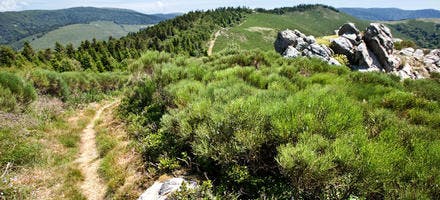 La piste du GR 7 des Monts d'Ardèche  