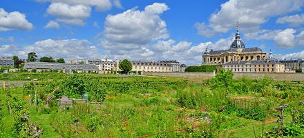 Potager du roi à Versailles