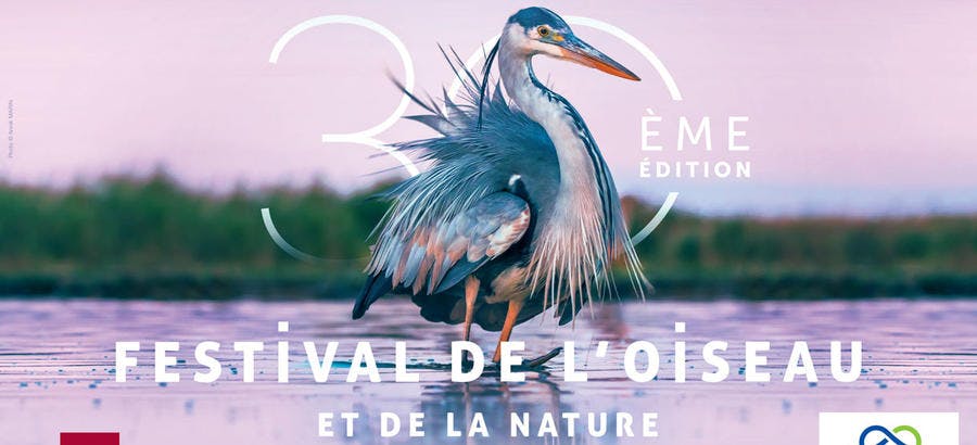 Affiche du 30e Festival de l'oiseau et de la nature 2020